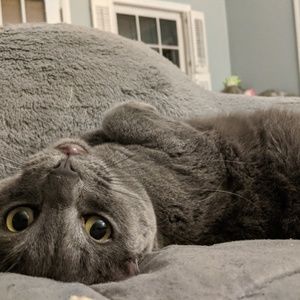 Meet your Posher, Raina